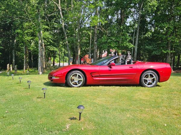 2000 Chevrolet Corvette Base 2dr Coupe Manual — photo 11
