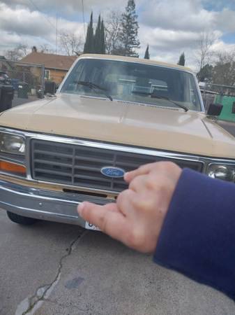 1984 Ford Bronco XLT 2dr 4WD SUV — photo 6
