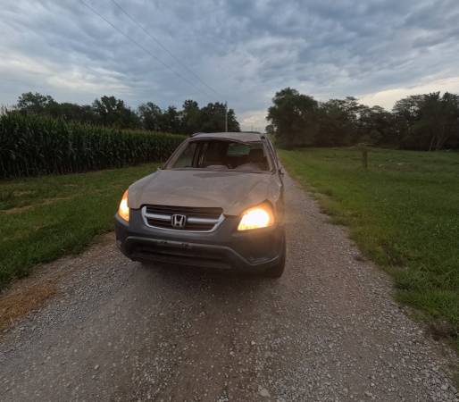 2004 Honda Crv Ex — photo 2
