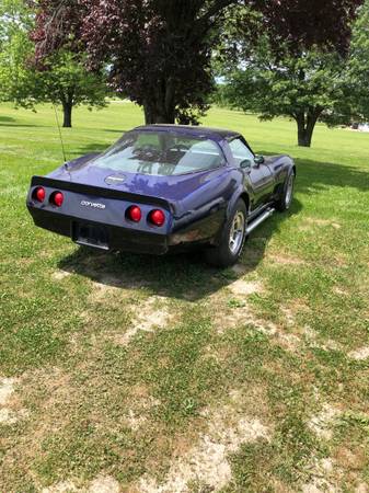 1980 Chevrolet Corvette — photo 6