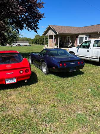 1980 Chevrolet Corvette — photo 3