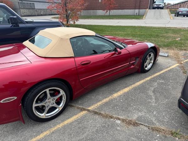 2002 Chevrolet Corvette Base 2dr Coupe Automatic — photo 2