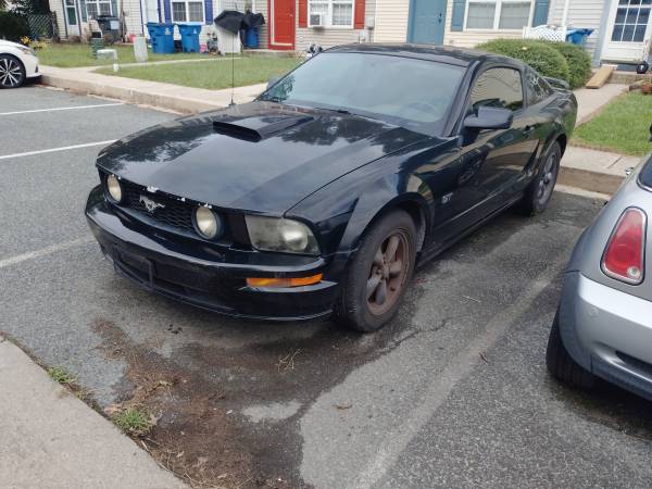 2007 Ford Mustang GT Premium 2dr Coupe Manual — photo 2