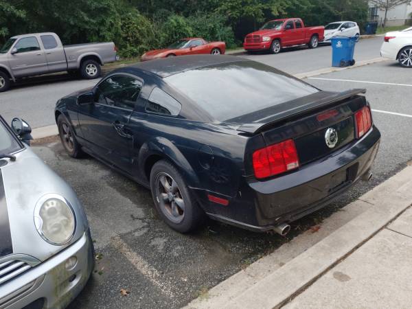2007 Ford Mustang GT Premium 2dr Coupe Manual — photo 4