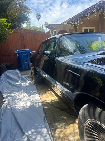 1980 Pontiac Bandit Trans — photo 3