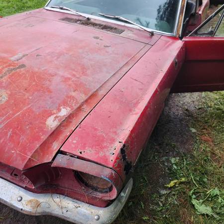 1965 Ford Mustang Coupe — photo 11