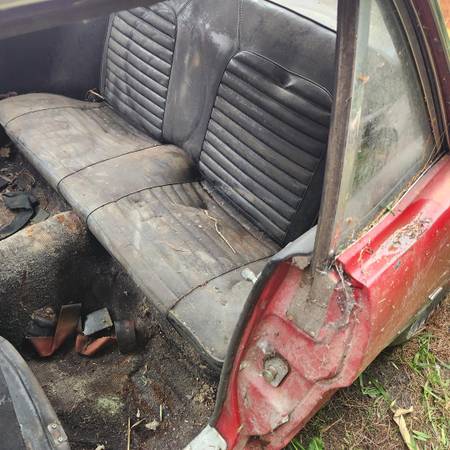 1965 Ford Mustang Coupe — photo 4