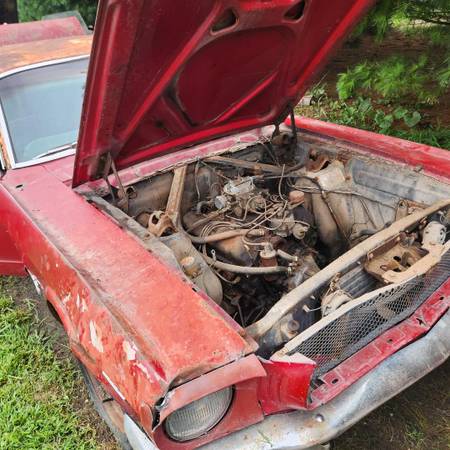 1965 Ford Mustang Coupe — photo 12