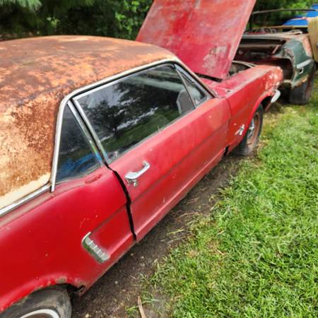 1965 Ford Mustang Coupe — photo 9
