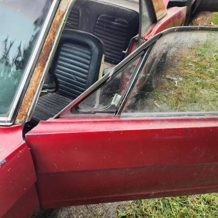 1965 Ford Mustang Coupe — photo 2