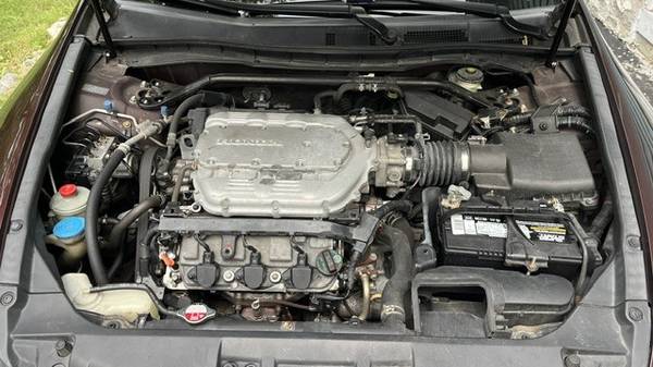 2010 Honda Accord 2.4 EX-L — photo 5