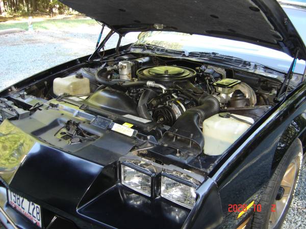 1982 Chevrolet Camaro Z28 2dr Hatchback — photo 8