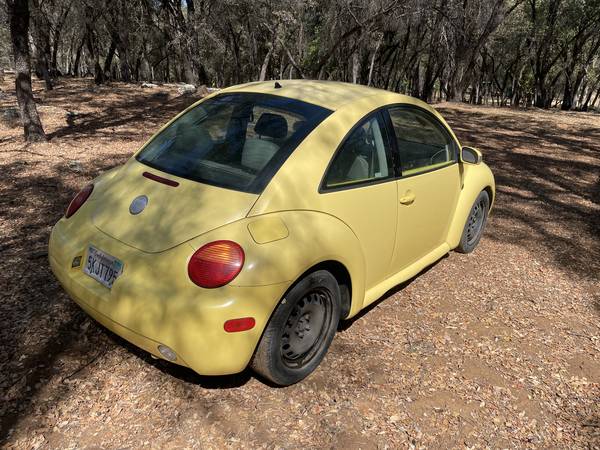 2004 Volkswagen NEW Beetle GL 2dr Hatchback Manual — photo 4