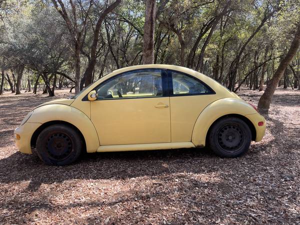 2004 Volkswagen NEW Beetle GL 2dr Hatchback Manual — photo 2