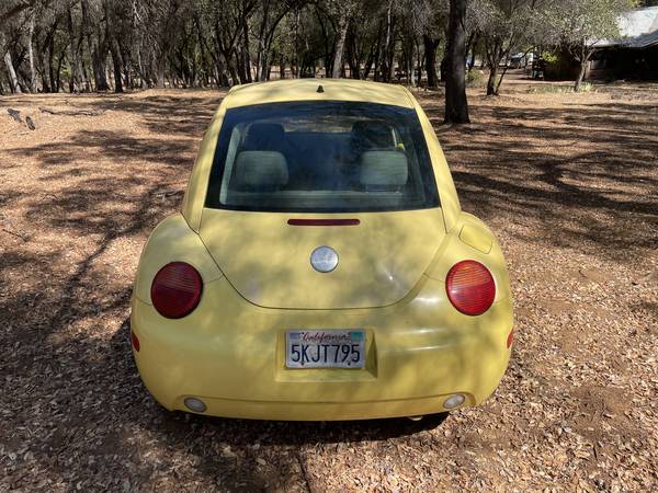 2004 Volkswagen NEW Beetle GL 2dr Hatchback Manual — photo 3