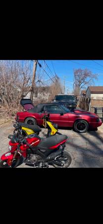 1991 Ford Mustang LX 2dr Coupe — photo 6