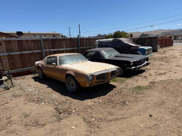 1973 Pontiac Firebird 300zx — photo 2
