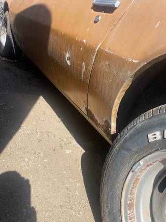 1973 Pontiac Firebird 300zx — photo 4