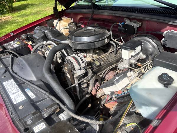 1995 GMC C1500 Rustfree — photo 3