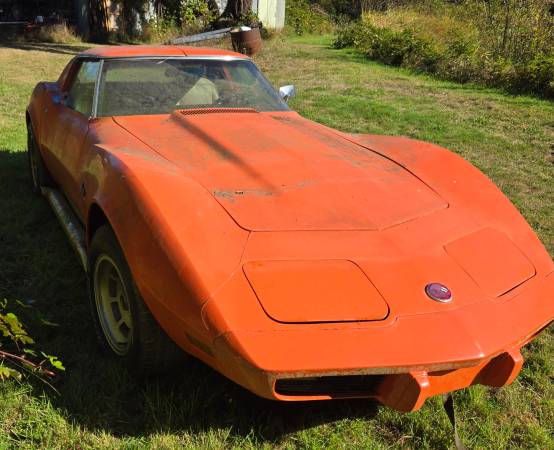 1976 Chevrolet Corvette Top — photo 2