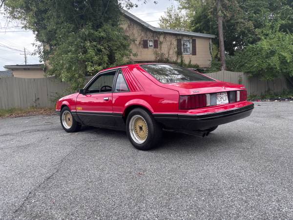 1979 Ford Mustang Cobra — photo 4