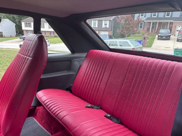 1979 Ford Mustang Cobra — photo 10
