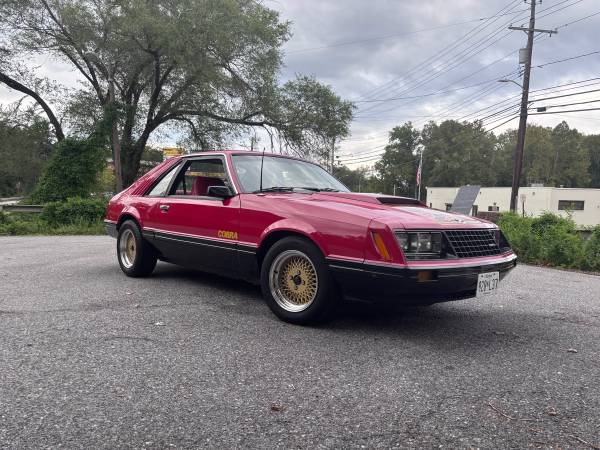 1979 Ford Mustang Cobra — photo 1