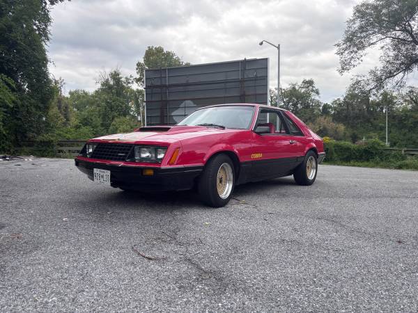 1979 Ford Mustang Cobra — photo 2