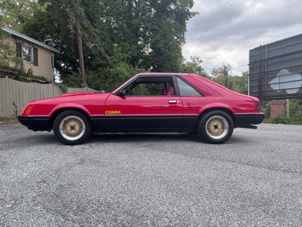 1979 Ford Mustang Cobra — photo 5