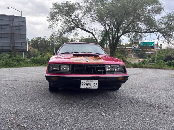 1979 Ford Mustang Cobra — photo 6