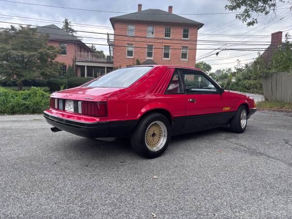 1979 Ford Mustang Cobra — photo 3