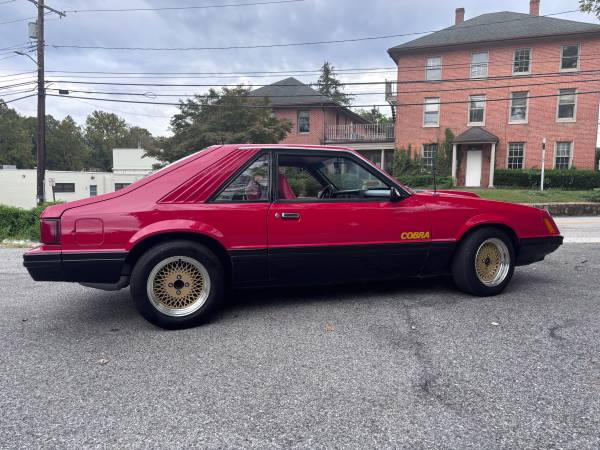 1979 Ford Mustang Cobra — photo 7