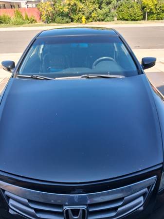 2011 Honda Accord 3.5 EX-L 2dr Coupe Automatic — photo 4
