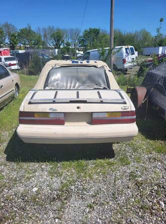1986 Ford Mustang LX 2dr Coupe — photo 4