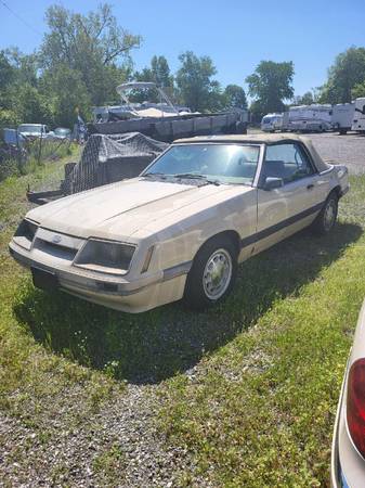 1986 Ford Mustang LX 2dr Coupe — photo 3