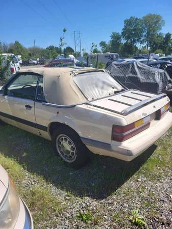 1986 Ford Mustang LX 2dr Coupe — photo 6