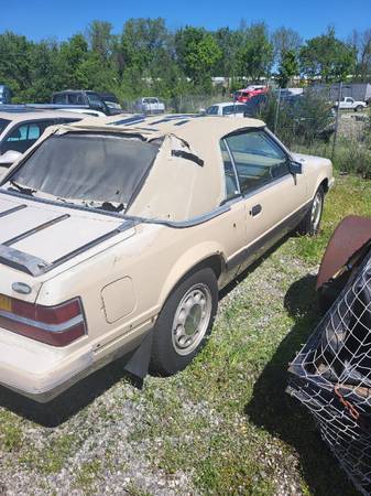 1986 Ford Mustang LX 2dr Coupe — photo 5