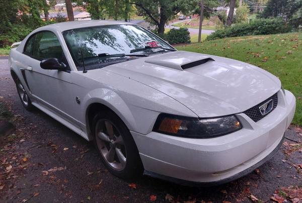 2004 Ford Mustang GT 2dr Coupe Manual — photo 2