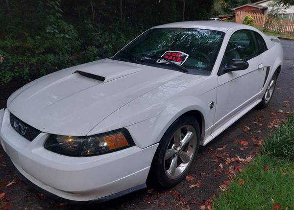 2004 Ford Mustang GT 2dr Coupe Manual — photo 4
