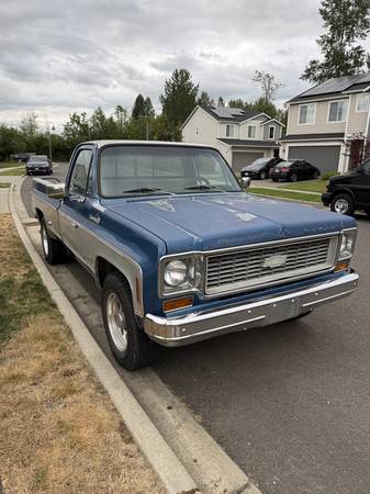 1973 Chevrolet Wide Body — photo 3