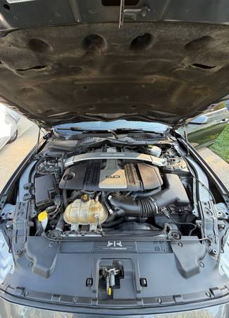 2019 Ford Mustang GT Premium 2dr Fastback Manual — photo 8