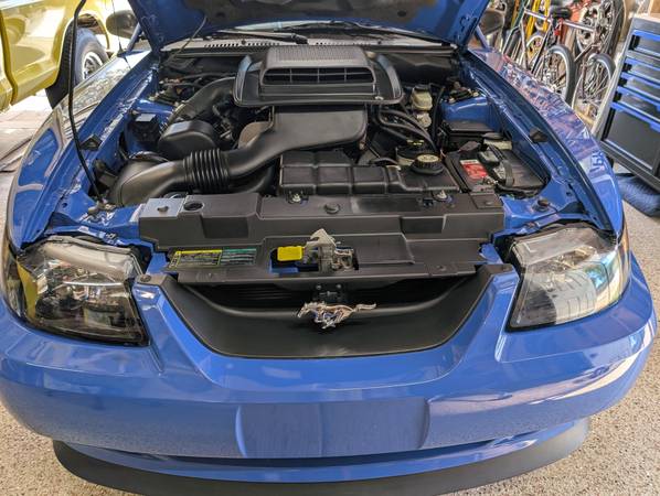 2003 Ford Mustang Mach 1 2dr Coupe Manual — photo 8
