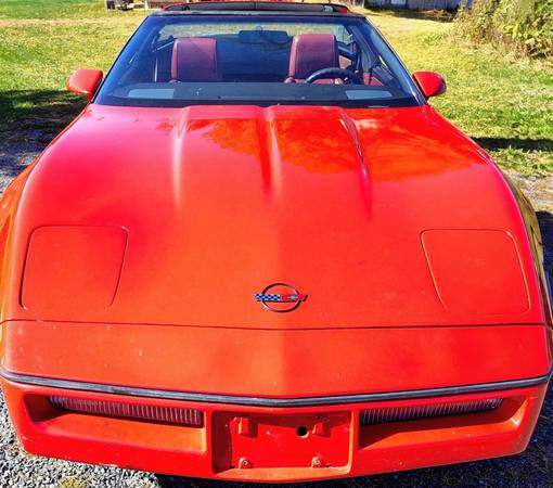 1985 Chevrolet Corvette Base 2dr Hatchback — photo 1