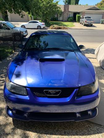 2003 Ford Mustang GT Premium 2dr Convertible Manual — photo 2