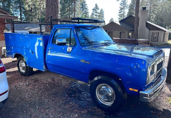 1993 Dodge RAM 50 Base 2dr Standard Cab SB — photo 3