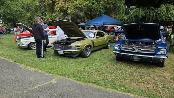 1970 Ford Mustang Boss — photo 2