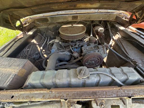 1965 Ford F250 Straight — photo 3